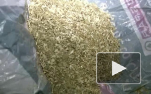 Наркоконтроль прикрыл продажу спайсов сразу в нескольких районах Петербурга