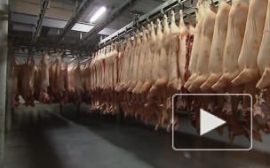 В России снизился импорт иностранной свинины 