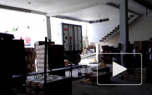 Голодные воришки украли грузовик с бананами по дороге из Петербурга в Москву