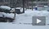 Вице-губернатор Петербурга уволил Кадырова за снегопад