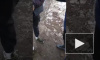 В Кирово-Чепецке подростки напали на мужчину с тростью