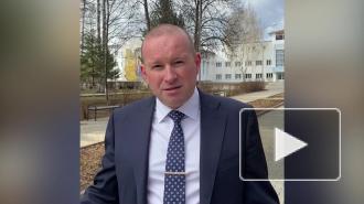 Стая собак загнала российских школьников на дерево