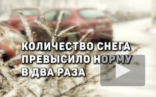 В январе количество снега в Петербурге превысило норму почти в два раза