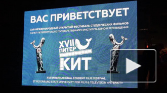 17-й сезон международного кинофестиваля «ПитерКит»