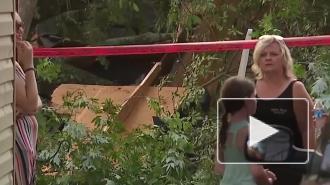 В США 19 человек получили травмы при падении дерева на гараж