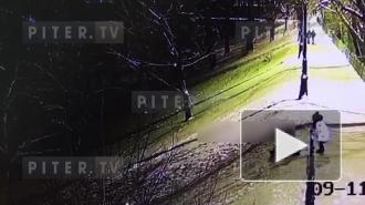 Девочка получила травмы во время катания на ватрушке в Кронштадте