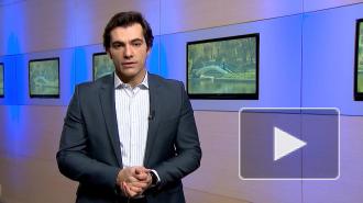 Названы регионы с самым быстрым ростом числа заражений коронавирусом