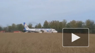 В сети появилось видео самолета, севшего в поле в Новосибирской области