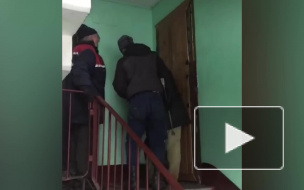 Петербургским кошкам, которые затопили соседей, нашли приют