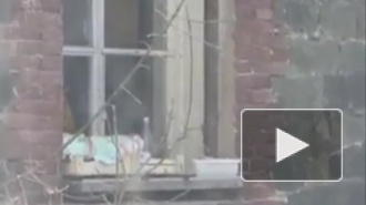 Видео из Владивостока: горя-мамаша "выгуливала" младенца на карнизе