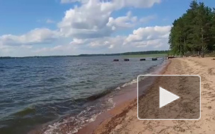 Россияне требуют строгого наказания для женщины-директора лагеря на Сямозере