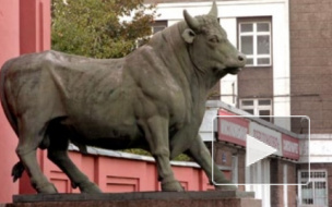 В Петербурге на мясокомбинате "Самсон" теперь будут жить люди