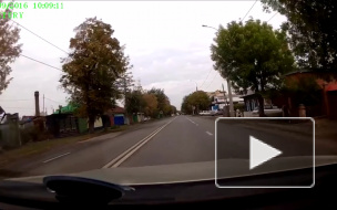 Забодал в Тюмени.