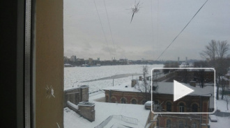 Неизвестные расстреляли окна квартиры с маленьким ребёнком в Невском районе