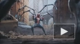 В свежем трейлере "Человека-паука 2" для PS5 показали ...