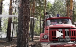 Площадь лесного пожара в Алтайском крае выросла до 4,2 тыс. га