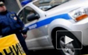 Доцент СПБГУ устроил ДТП с полицейским автомобилем