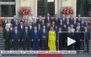Зеленского разместили далеко от Трампа для фотографирования на саммите НАТО