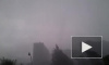 Молния ударила в группу студентов во время урагана в День России в Москве