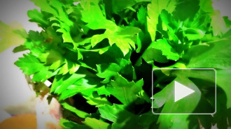 Кремлевский врач назвала продукты, которые полезны в условиях эпидемии