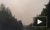 Военные и пожарные второй день тушат лесной пожар под Сосновым Бором