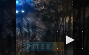 Авария на Светлановском 