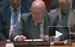 Небензя: Россия готова к сценарию, при котором цели СВО были бы достигнуты мирным путем