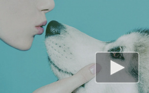 Муж Полины Гагариной покрыл Малую Конюшенную поцелуями