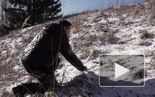 Выборгские поисковики помогли жителю Белоруссии найти могилу погибшего на войне деда