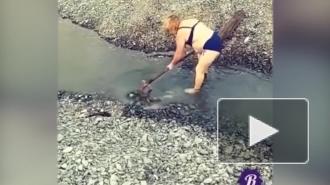 Россияне взялись спасать природный памятник лопатами