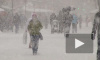 Москвичей предупредили о сильном снегопаде ночью 28 января 