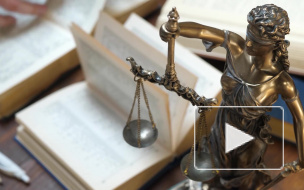 У Мариинского дворца пикетируют противники изменения Конституции