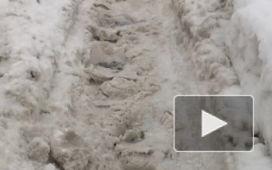Жители Набережной Фонтанки утопают в снегу