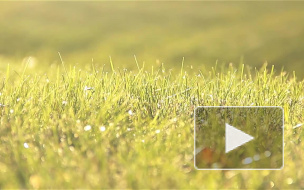 В Приморском районе появился памятник героям Малой дороги жизни –  «Дорога мужества»