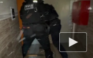 Полиция Петербурга задержала группу ночных "карманников", охотившихся на клиентов ночных баров