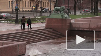 Петербург подтопит даже при закрытой дамбе