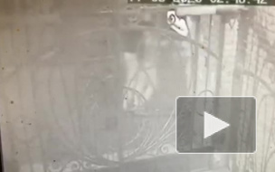 Полицейские задержали двух азиатов, подозреваемых в ограблении петербурженки