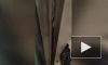 В ЖК на Среднерогатской улице голый мужчина выкинул из окна вещи и кота