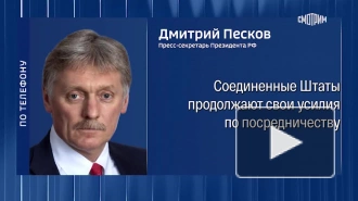 В Кремле не исключили возможной встречи Путина и Уиткоффа на этой неделе