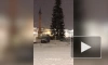 Ночью на Дворцовую площадь привезли новогоднюю ёлку