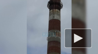 В Петербурге четверо экстремалов нарушили самоизоляцию ради прыжка с высокой трубы