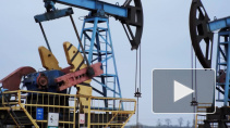 Лукашенко: Белоруссия готова закупать нефть в России по мировым ценам