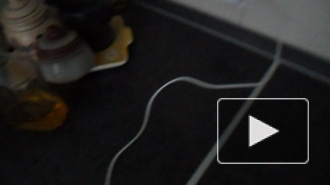 Charger works good and charge my mobile