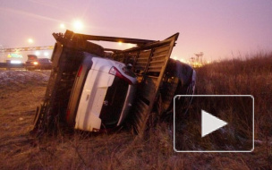 ДТП в Санкт-Петербурге: на КАД перевернулся автовоз с иномарками, на Петергофском шоссе погиб водитель Хонды