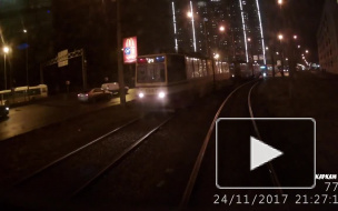 Мужчина с собачкой: петербуржец попал под трамвай вместе со своим другом