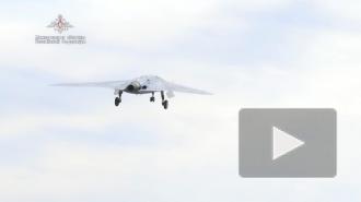Ударные беспилотники "Охотник" появятся в ВКС РФ в 2024 году