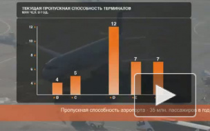 Гендиректор аэропорта «Шереметьево» может лишиться поста