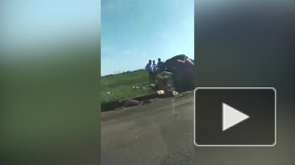 Очевидцы: на Софийской легковушка разбилась "в мясо"