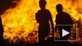Детей, пропавших на пожаре под Красноярском, спасла ...