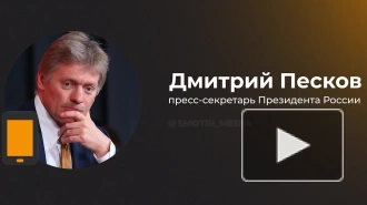 В Кремле отслеживали контакты Си Цзиньпина и Макрона, заявил Песков